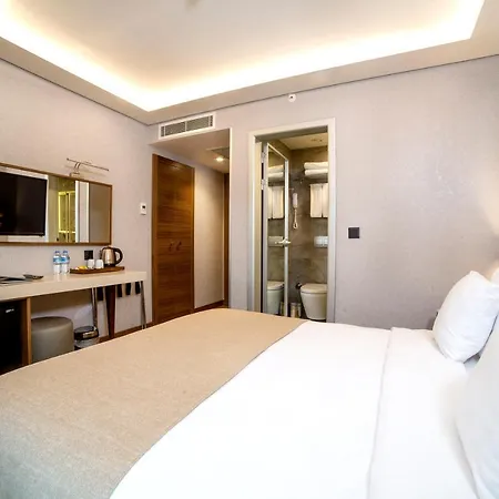 Erboy Sirkeci 4* اسطنبول