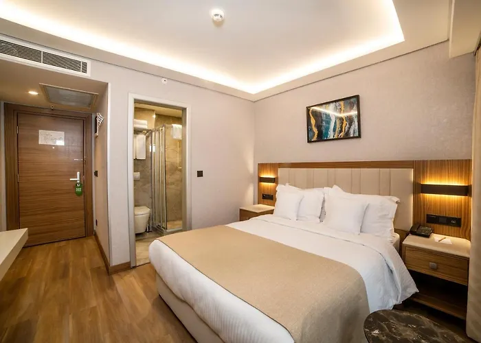 Отель Erboy Sirkeci 4*